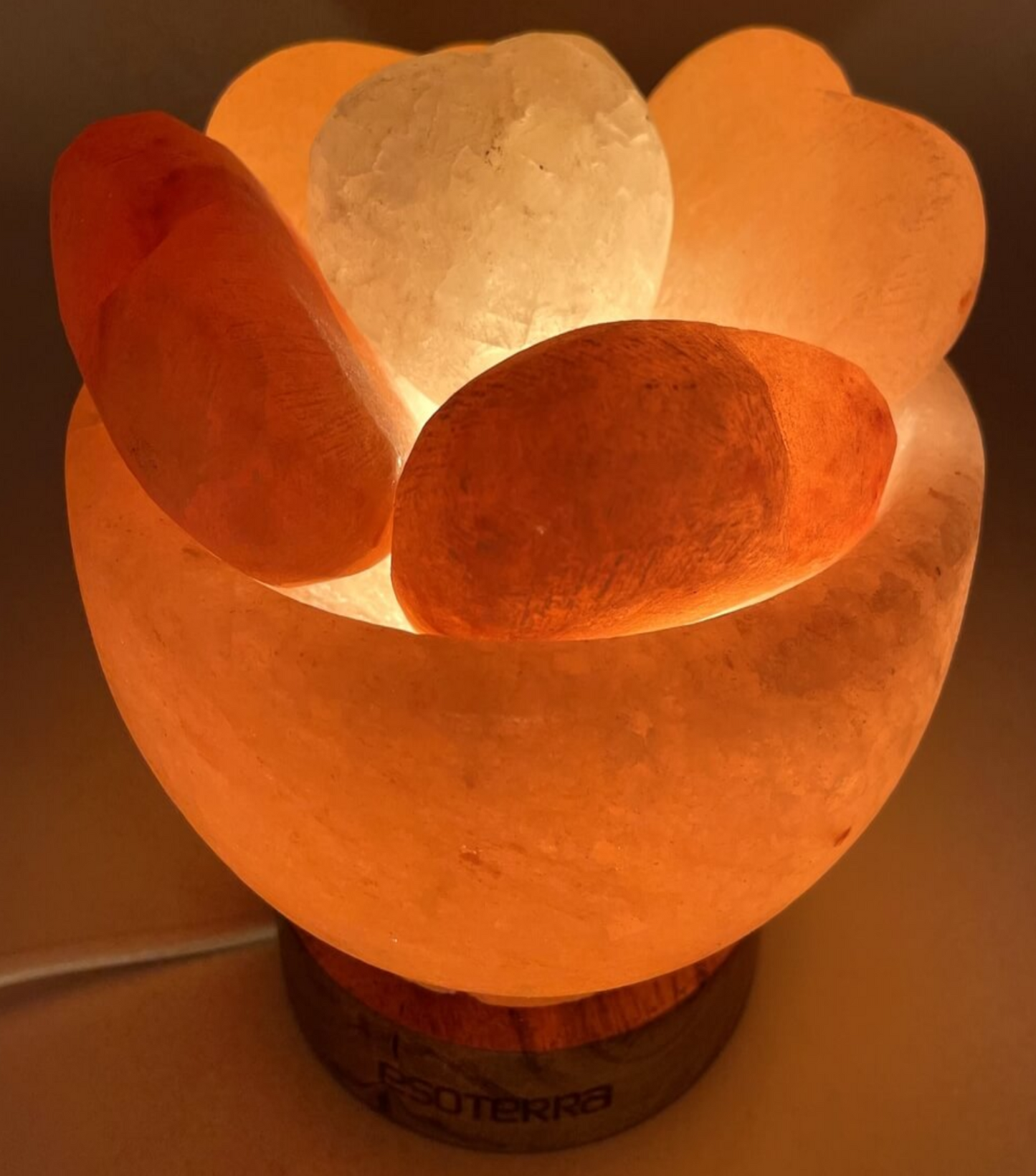 Lampe de Sel Himalaya Bol & Coeurs 3.5KG