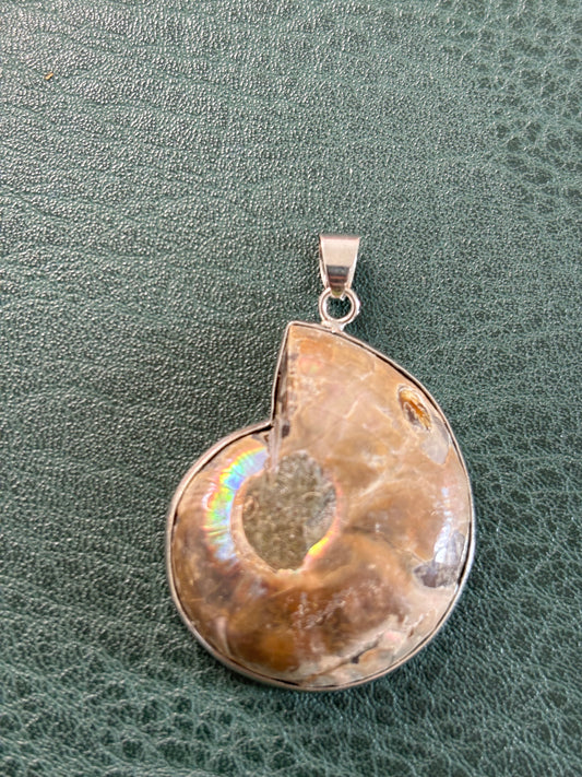 Pendentif coquillage