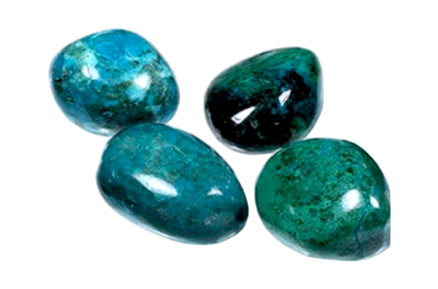 Chrysocolle